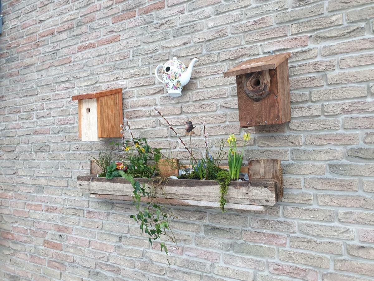 Ferienwohnung Vogelvilla Altenbeken Ngoại thất bức ảnh